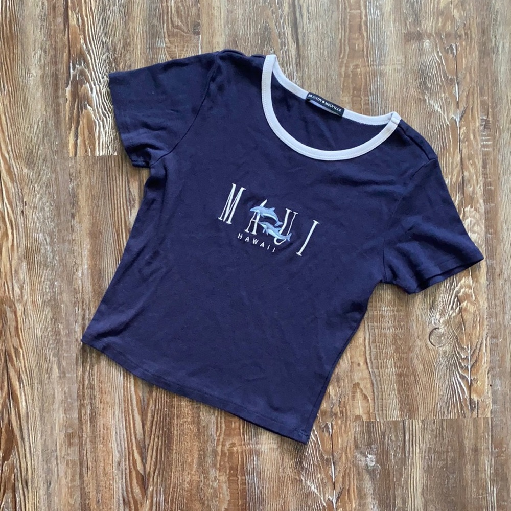 Brandy Melville Maui Blue Tight Tee